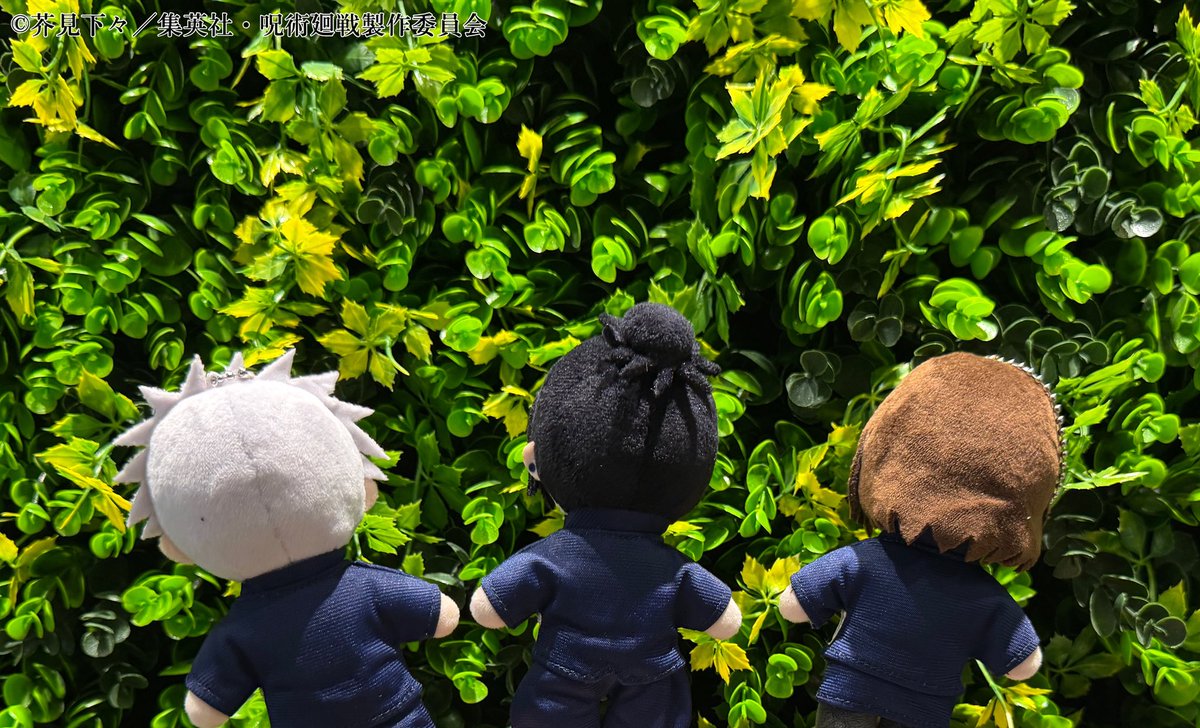 ジロリぬいぐるみ coming soon!! #呪術廻戦#懐玉・玉折