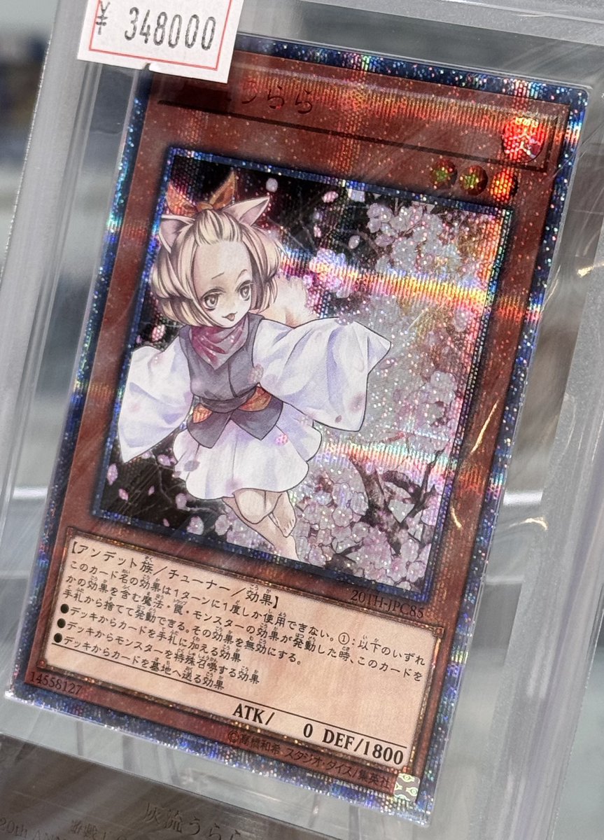 VALUABLE CARD TOKYO 4F🍬商品紹介📢】 ／ ✨🌸【ARS10+】灰流うらら