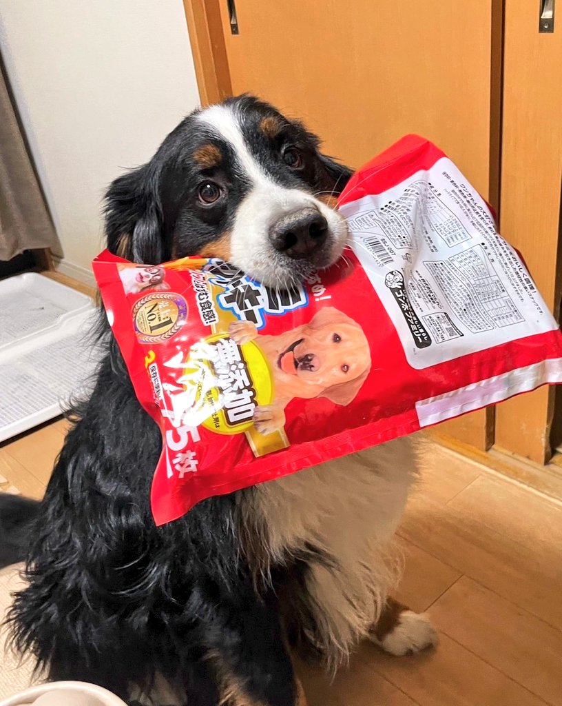 ここあ (@coco_bmd) / Posts / X