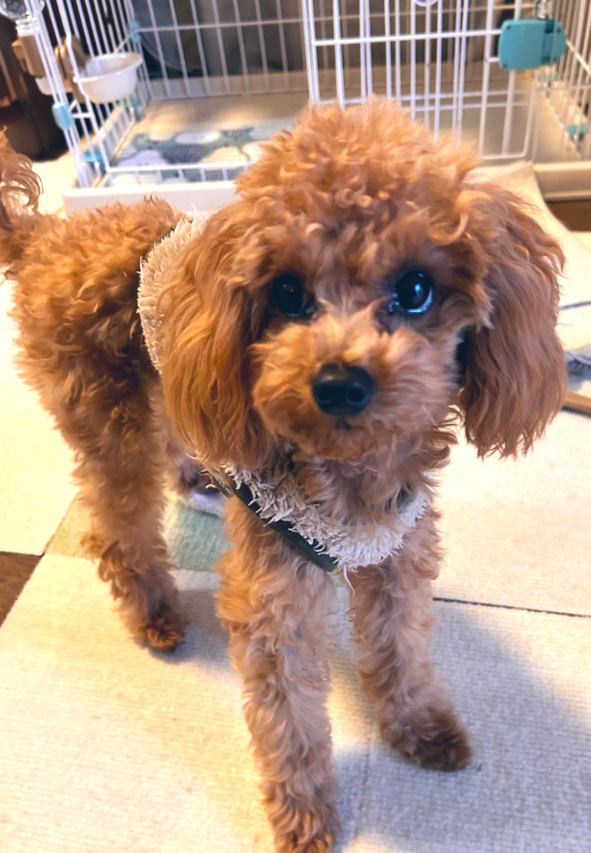 かずちゃん (@kazu13chan) / Posts / X