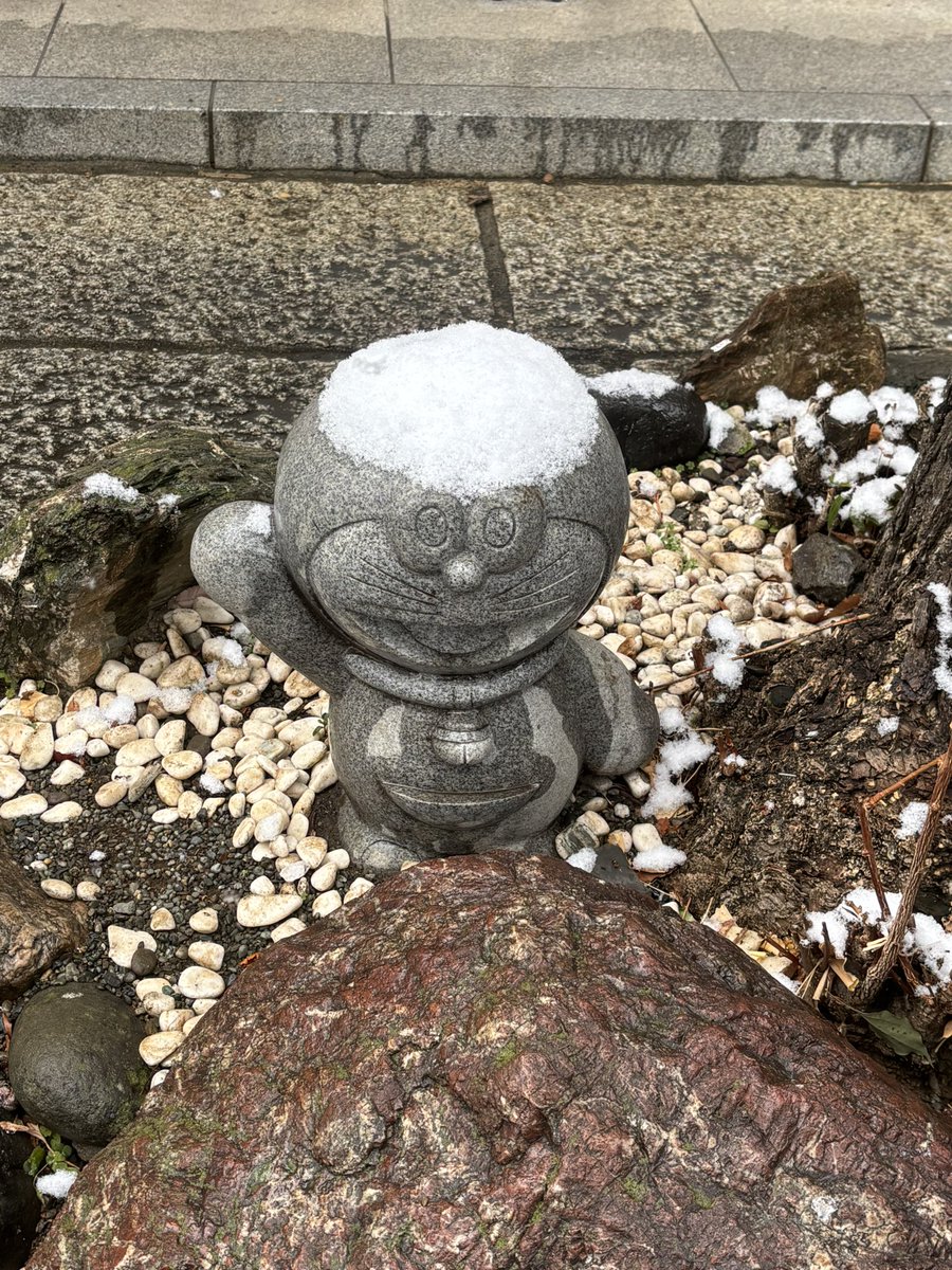 雪が降る中の神社って厳かで良いよね…… 何故か境内にいた雪が積もった