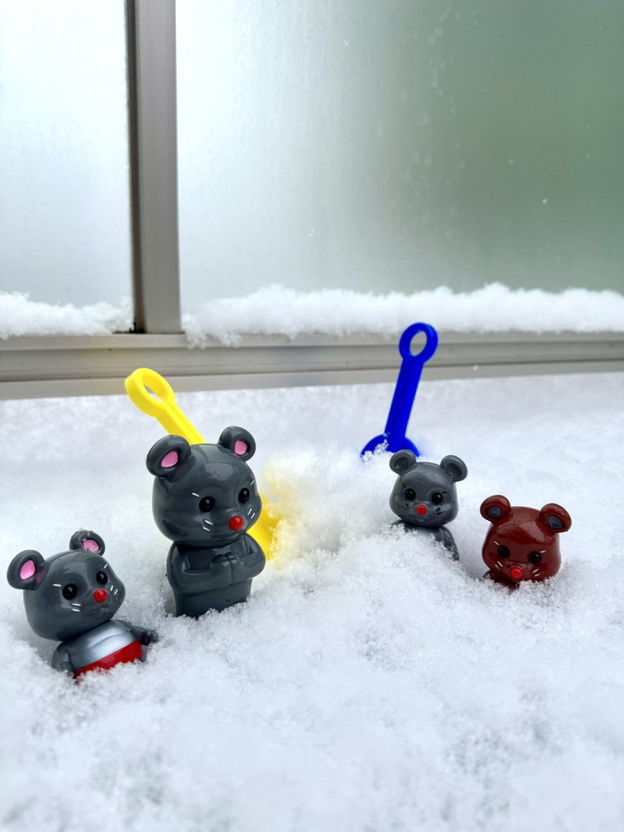 チュウズ (@chuu_55_chuu) / Posts / X