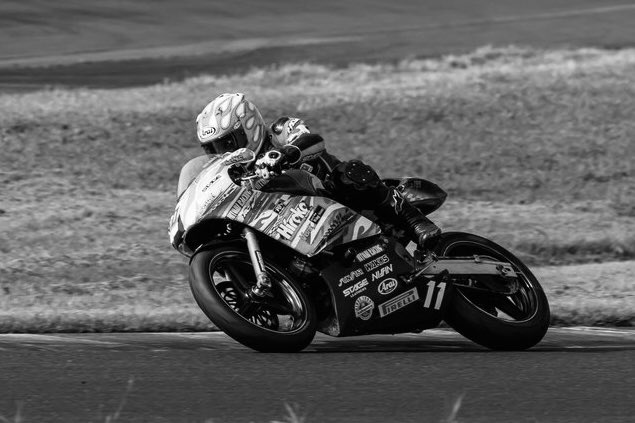 🦎🌎🦩人見(HITOMI) (@p1103q) / Posts / X