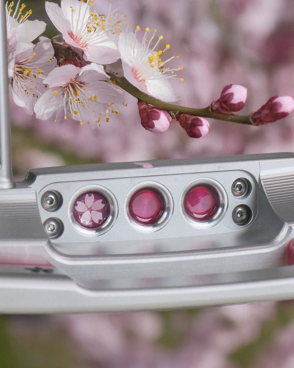 スコッティキャメロン専門店Himawari (@ScottyHimawari) / Posts / X