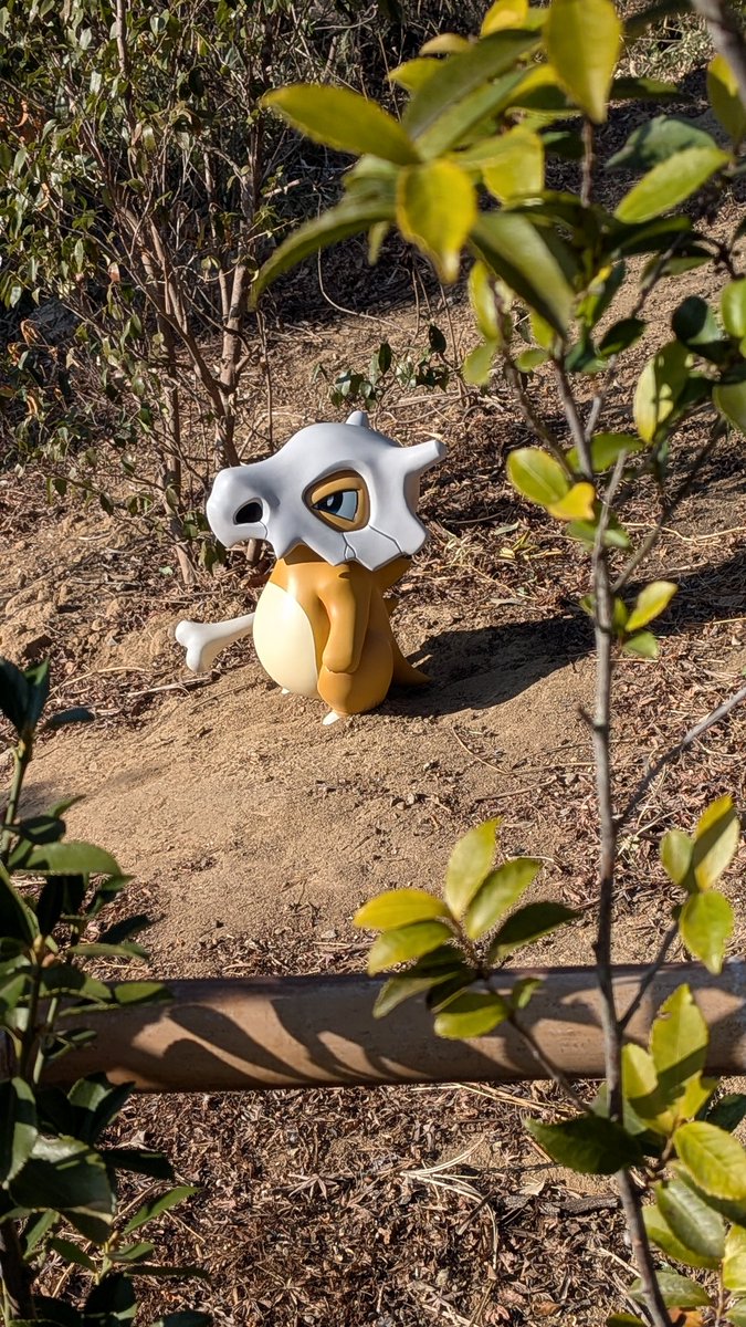 ポケパーク カントーに行ってきました！めちゃくちゃ楽しんだ！ 色々と