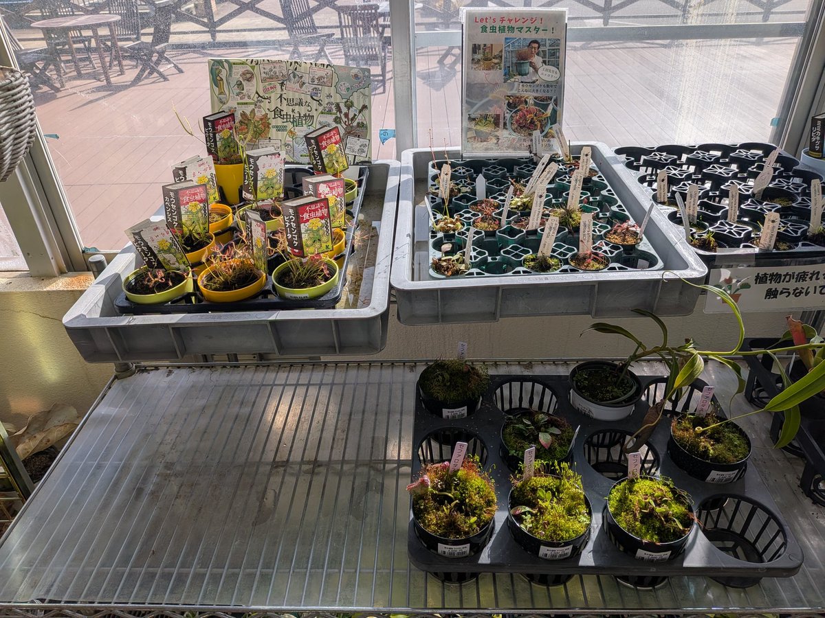 GEN (@GEN85413271) / Posts / X