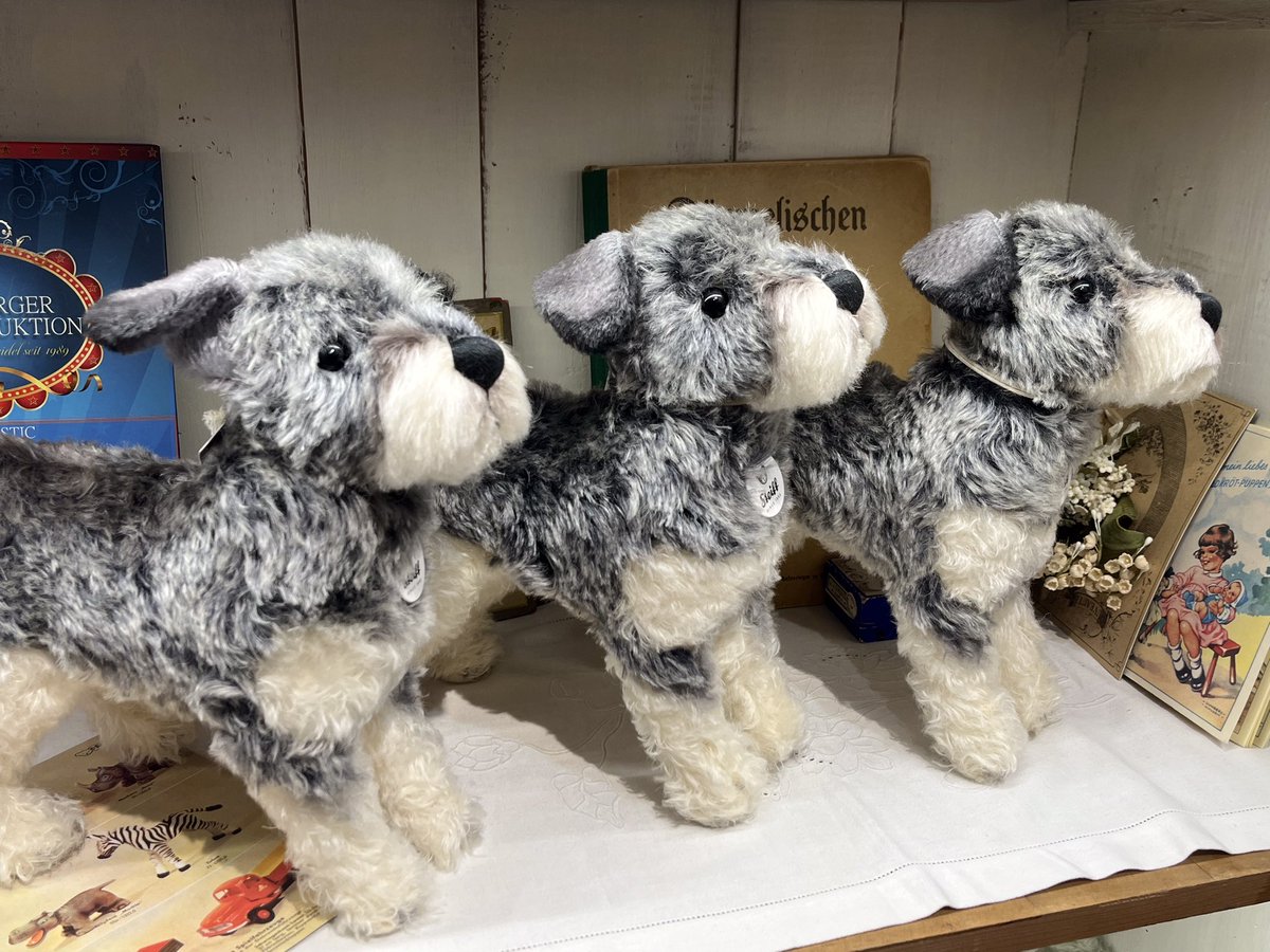 こんにちは🐕 本日はシュタイフの新作を紹介します！ 【シュナウザー