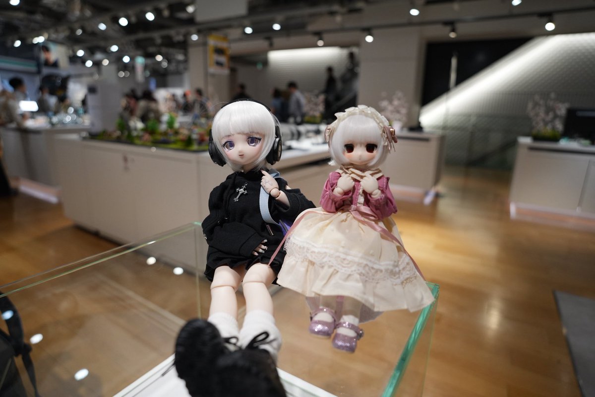 ドルショの帰り道、銀座ソニーストアにて、店員さんに、そのドールを