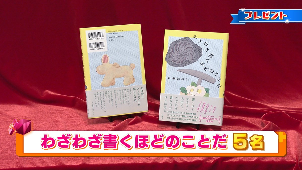 みっちょん (@mvUxxb96sFfHQK3) / Posts / X