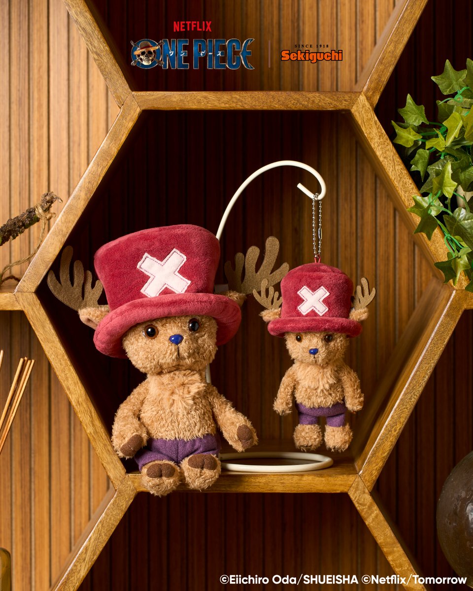 セキグチ公式オンラインショップ (@sekiguchi1918) / Posts / X