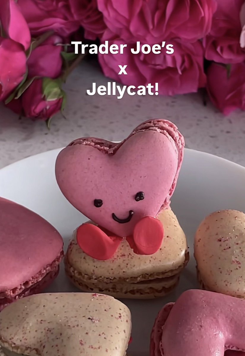 トレジョのマカロンでジェリーキャット作ってる人いて、可愛すぎて買う