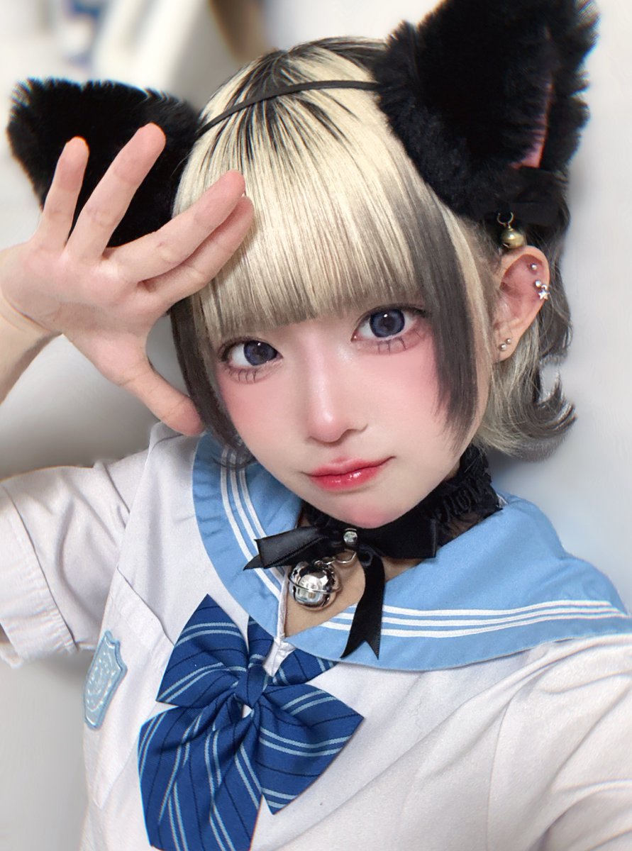 Post by もぶ on X: 🐈‍⬛