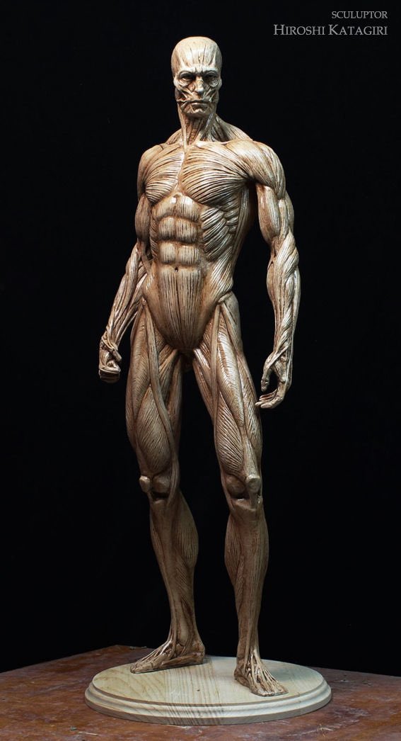 模刻でアナトミーの勉強したいです。 何かオススメの教材や作品ない