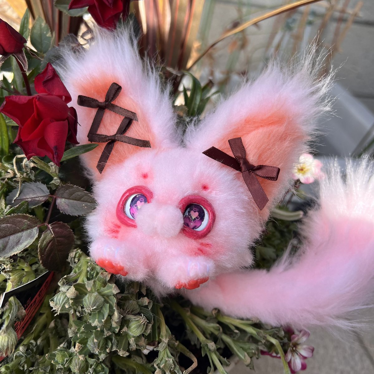 おはようございます☀️ 毛玉幻獣ちゃん、ぷろとたいぷ5のお家が決まり