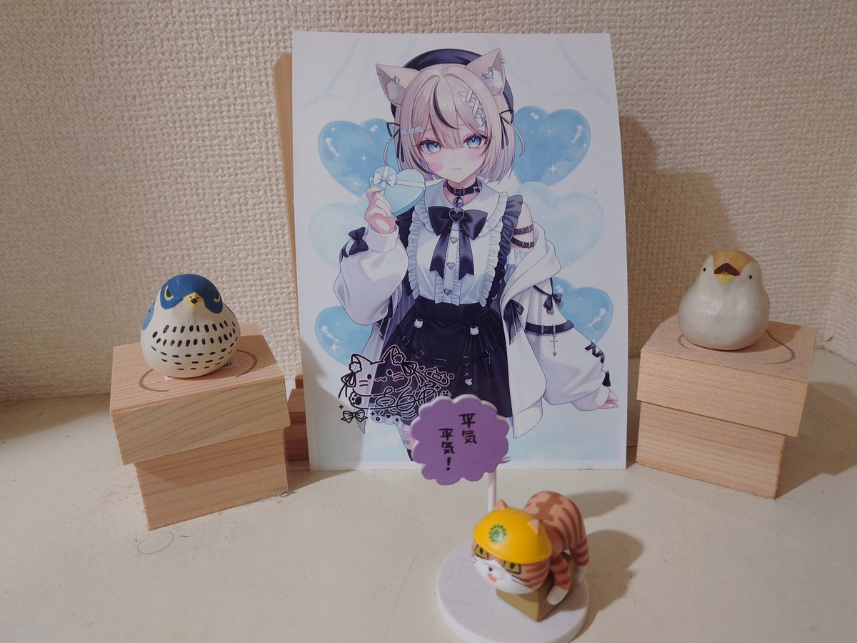 RT @v9kUEej65E7YCvW: ＃真白猫ミミィ