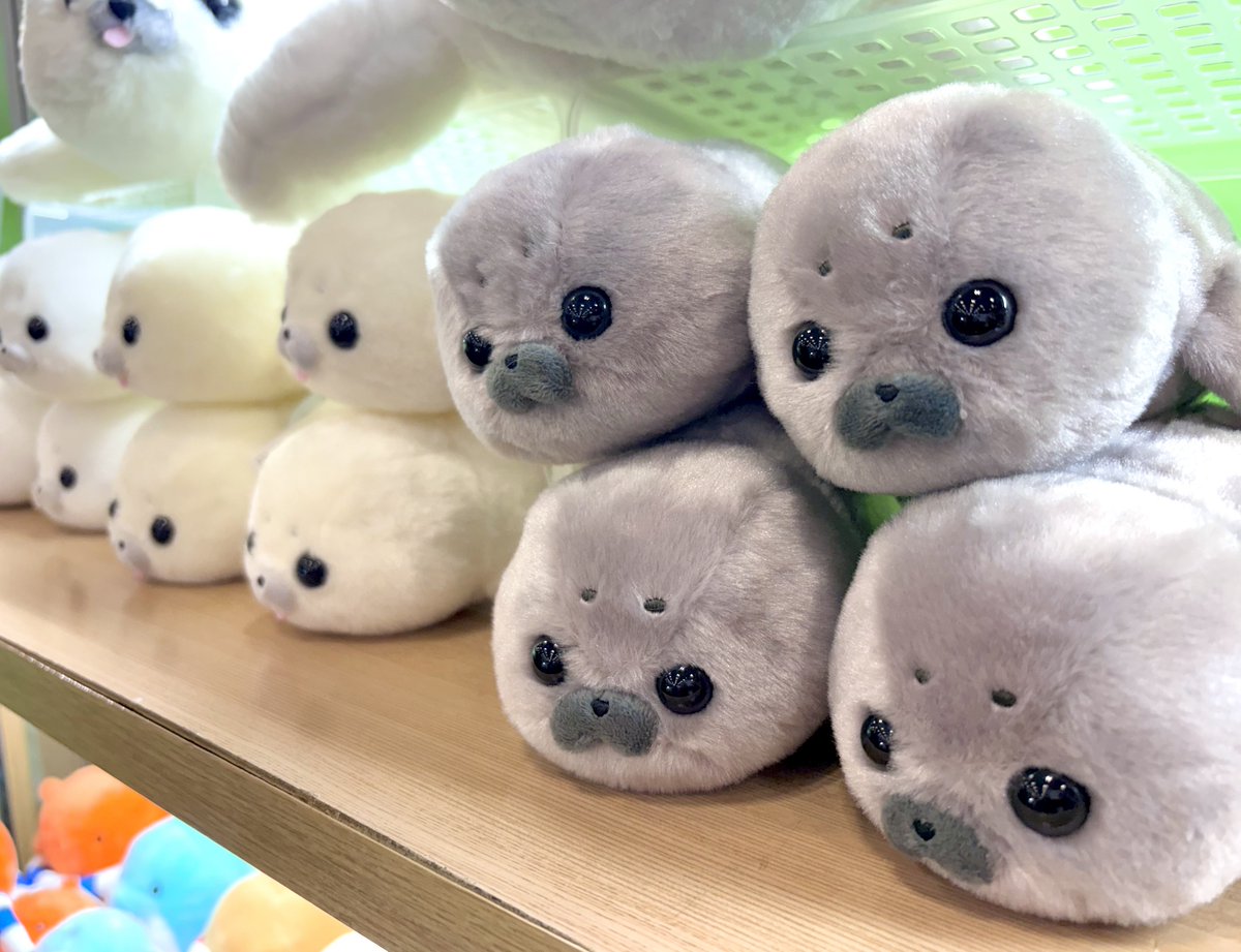 RT @AMUSE_japan: アザラシちゃんたちが月曜日に立ちむかうミンナを