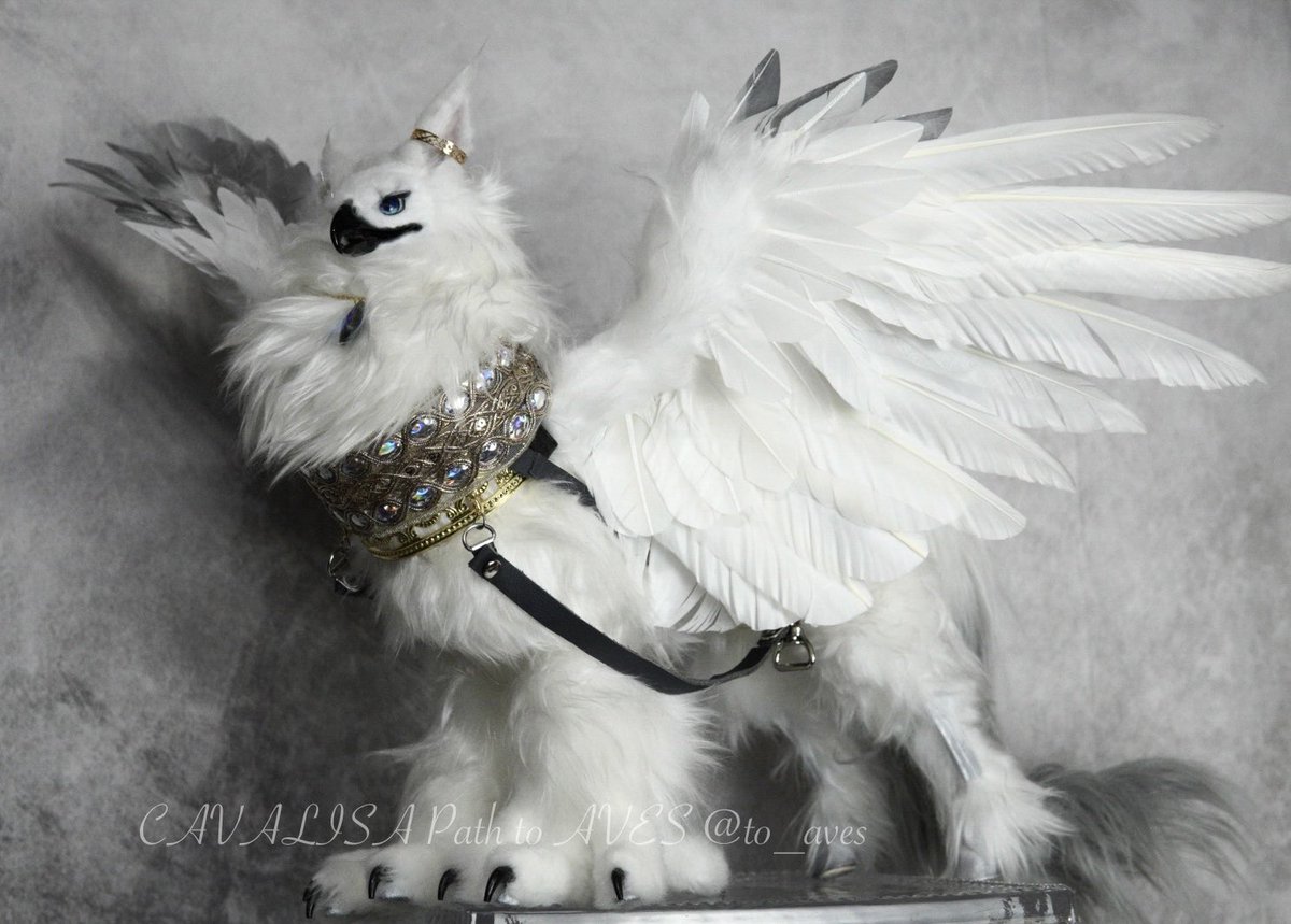 溢れんばかりの胸毛☁️⋆˙ #アートドール #ヒッポグリフ #幻獣