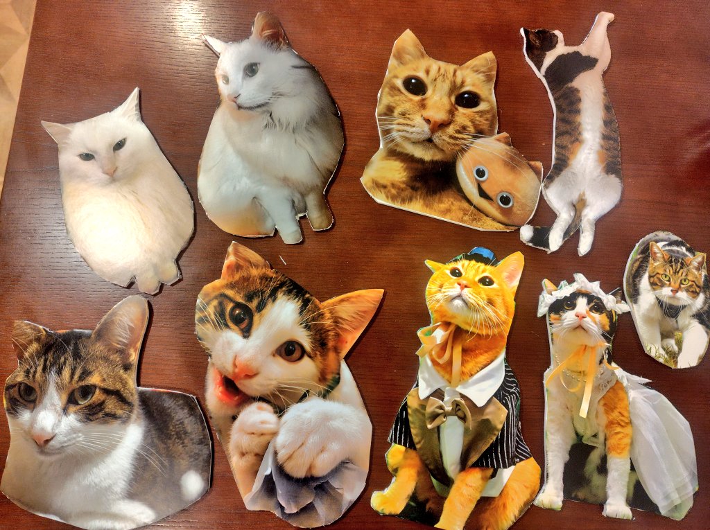 ディキャ猫の日始まりました！！ 期間中はかわいい猫ちゃん達が相席し