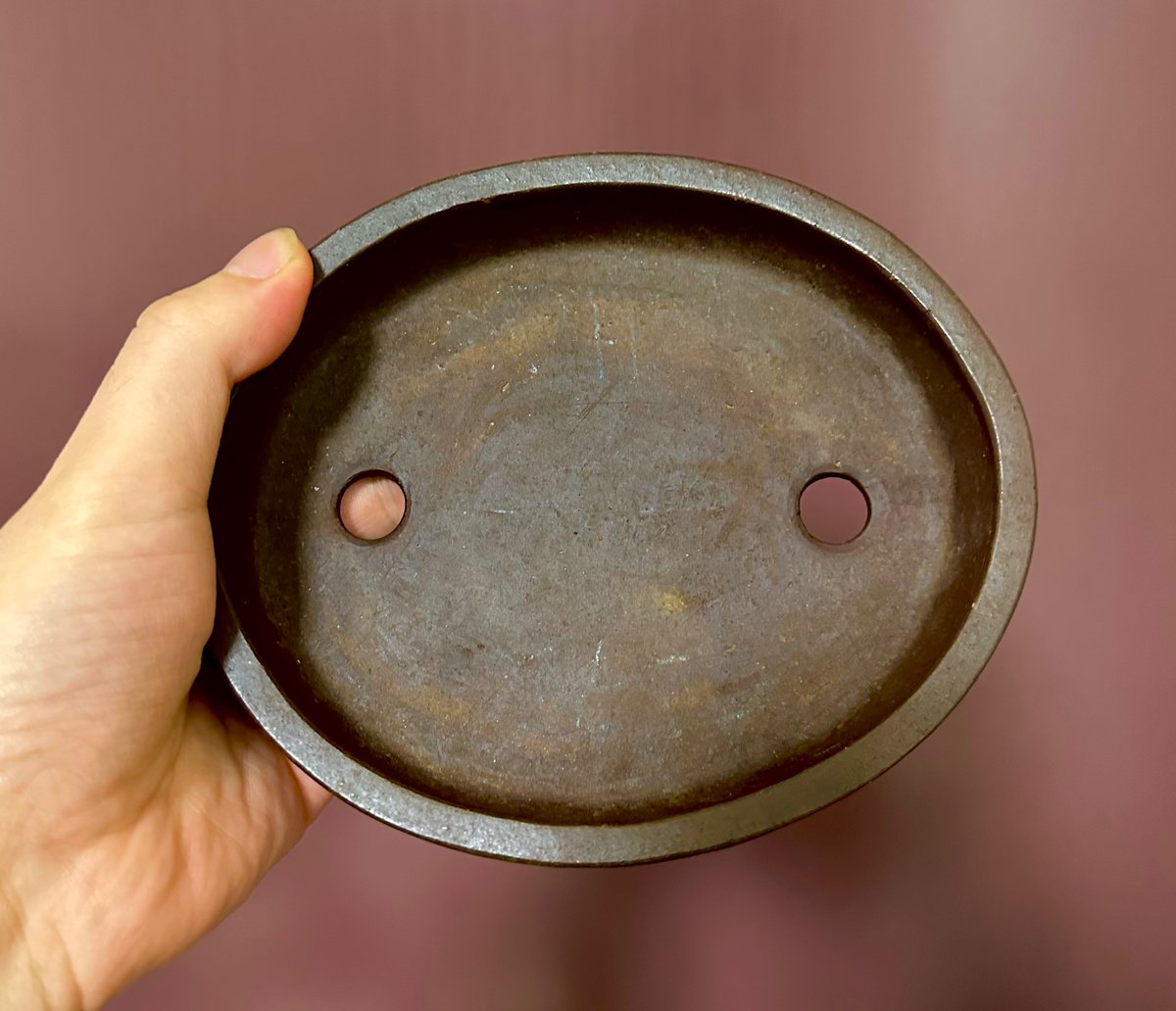 神谷流苑紫泥胴紐楕円 植松陶翠のようなツヤ感のある特に良い土味