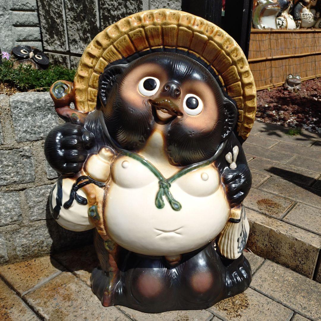 Post by Yang on X: たぬき