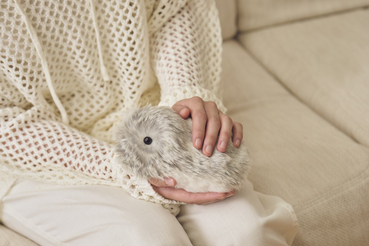 公式】Moflin（モフリン）｜感情が育つAIペット (@casio_moflin