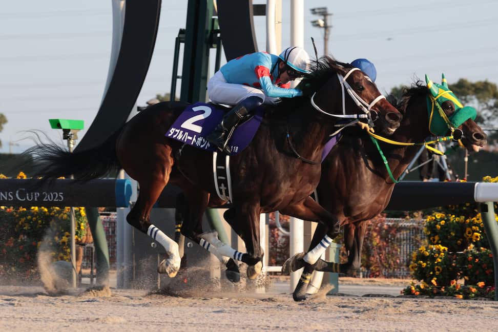 フェブラリーS 枠順確定】ダブルハートボンドGⅠ連勝へ5枠9番、連覇