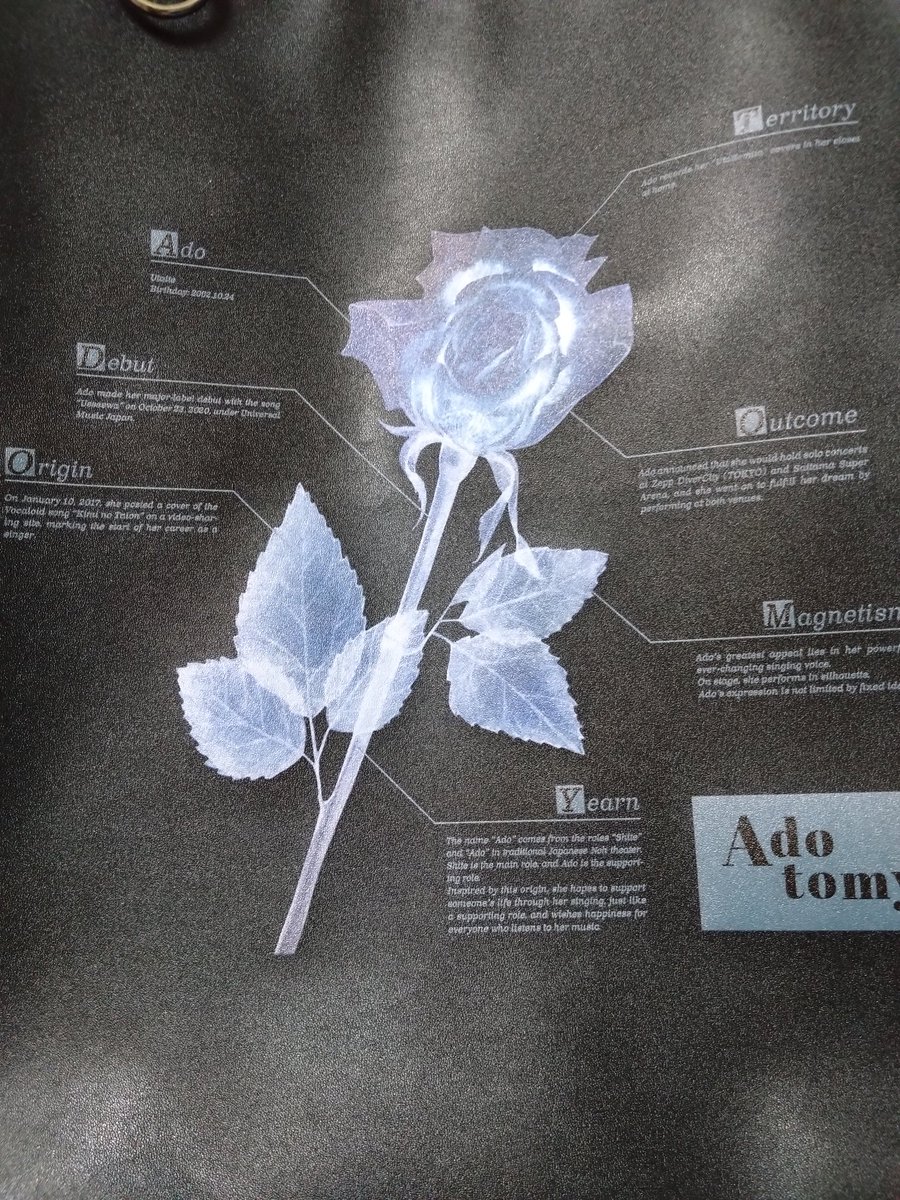 え、Adoちゃんはサワキアオちゃんってお名前なの？ 青いバラはAdo