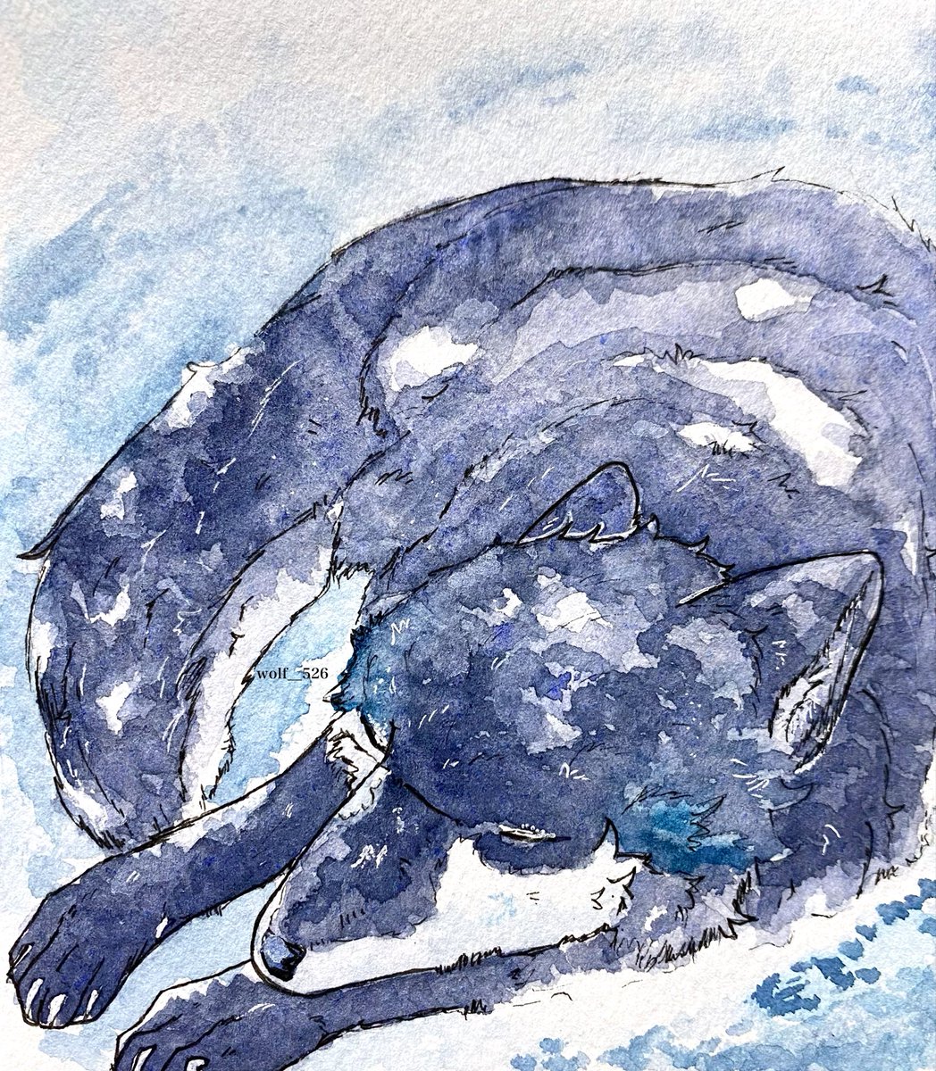 オオカミ」 #透明水彩 #水彩画 #ヴォルフのアート #wolfart