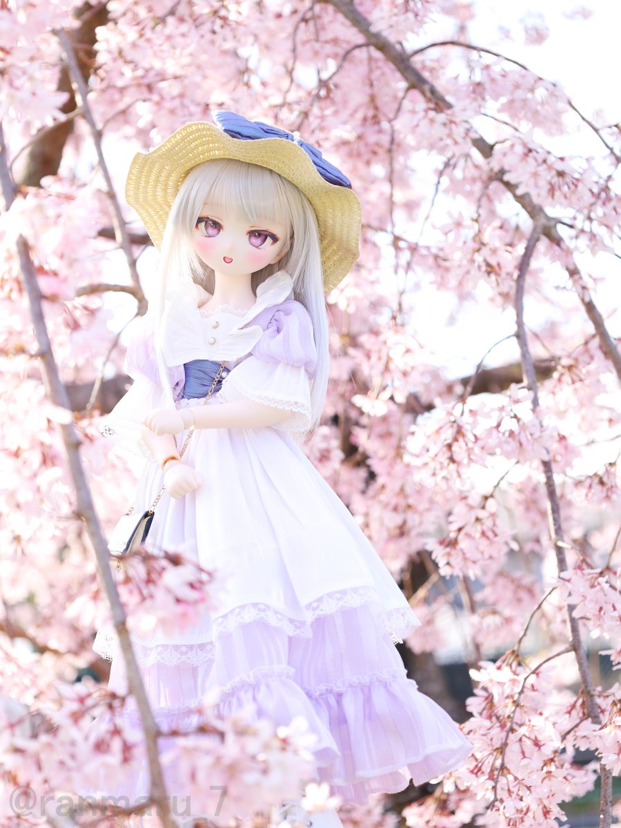 2026.2/20分のお題【うつくしく】今年も美しく咲いておくれ