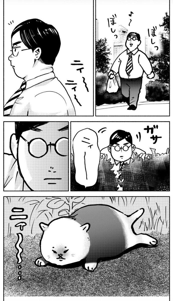 猫ちゃん合作本をかしのさんと作りました。明日はこちらも持っていき