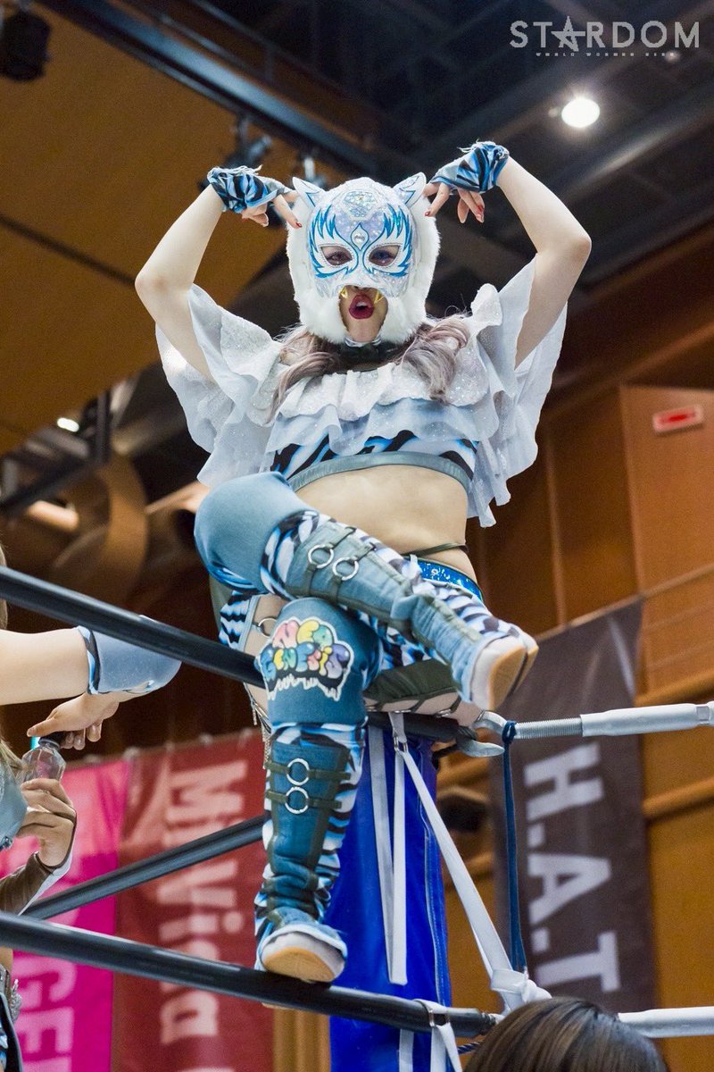 スターダム💙スターライト・キッド🐯🤍 (@StarLight_Kid11) / Posts / X