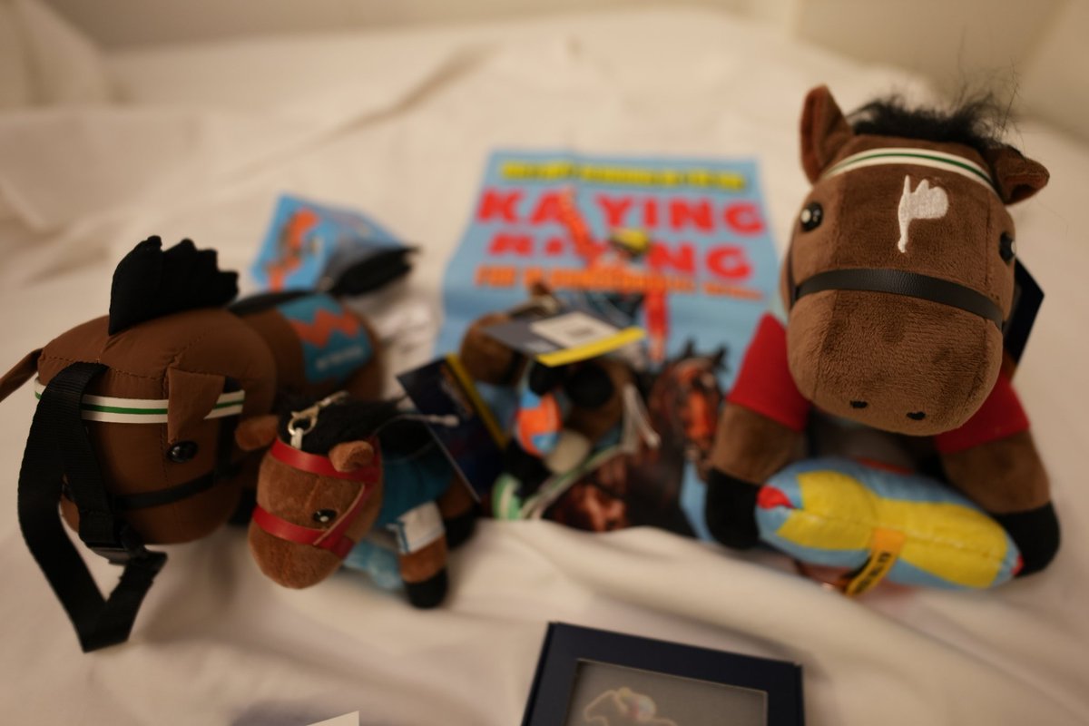 香港ディズニーランドのティア4チケットは高く感じてやめたけど、同じ