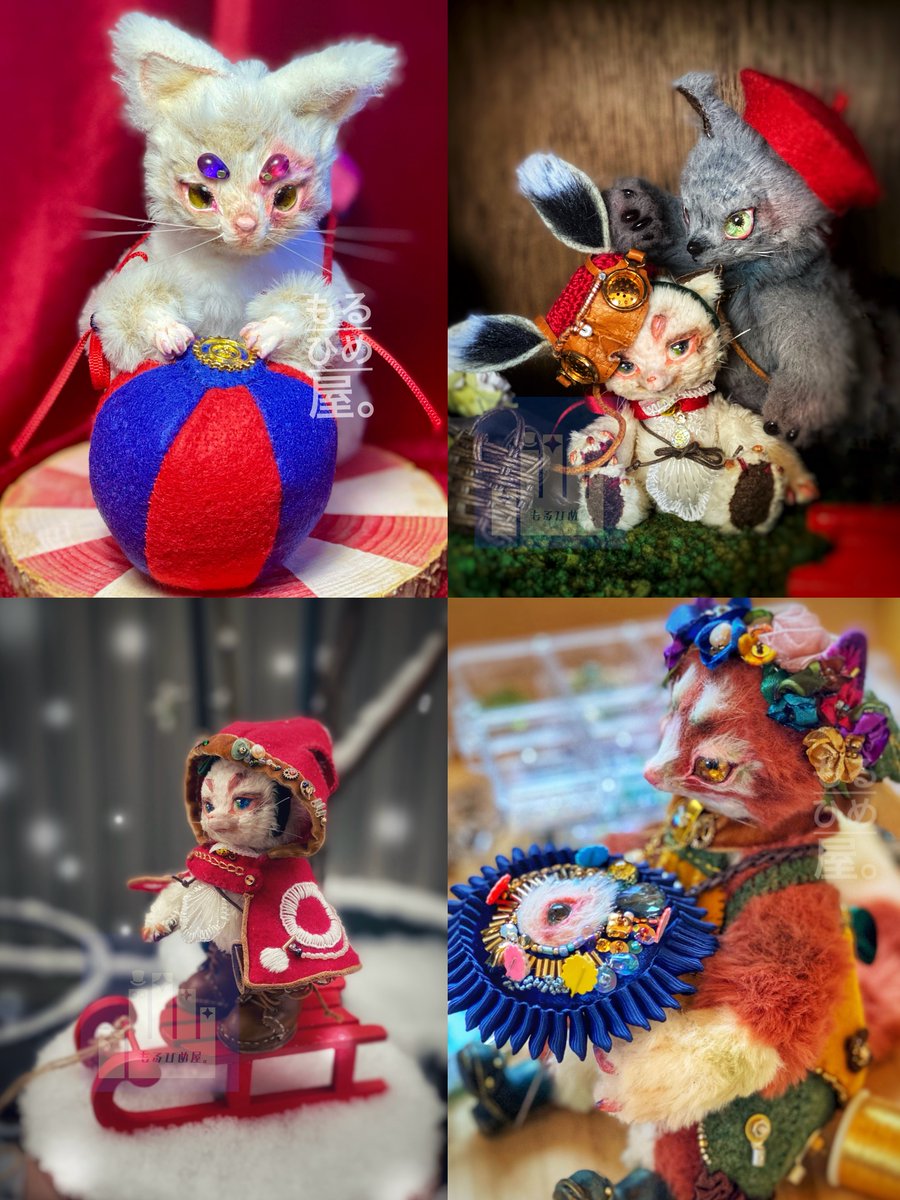 とても素敵です🐱💕