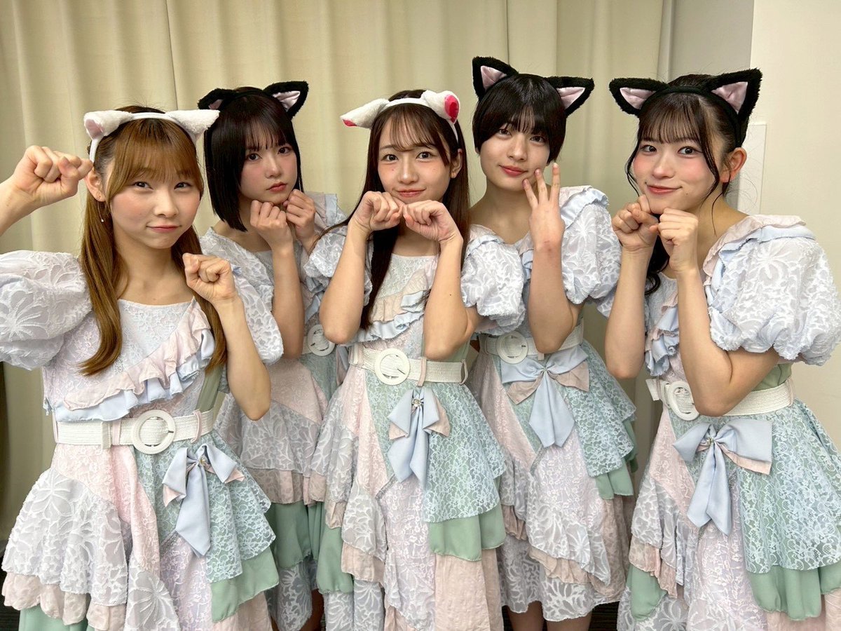 🐈オンライン🐈⸒⸒⸒⸒ ねこチェキ販売します！ 個別チェキは現地と色