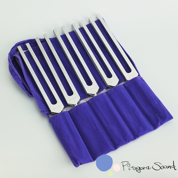 ブレインチューナー バイオソニックス 音叉 Biosonics tuning fork