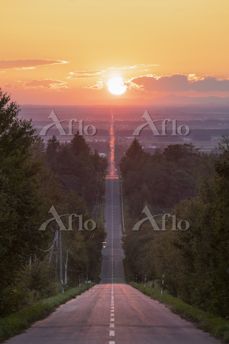 天に続く道と夕日 北海道 [98219696]の写真素材 - アフロ