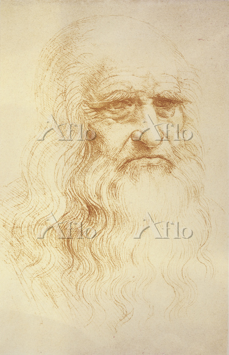 レオナルド・ダ・ヴィンチ 「自画像」 [32632126]のアート作品 - アフロ