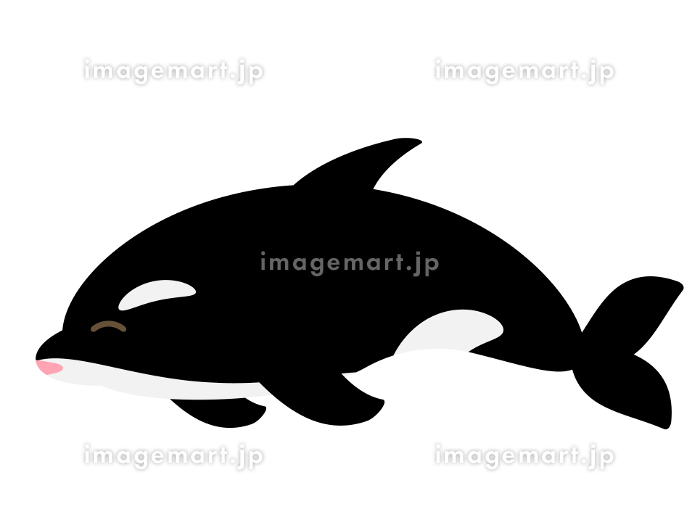 ゆるかわなシャチ 笑うのイラスト素材 [213334702]｜毎月1点無料