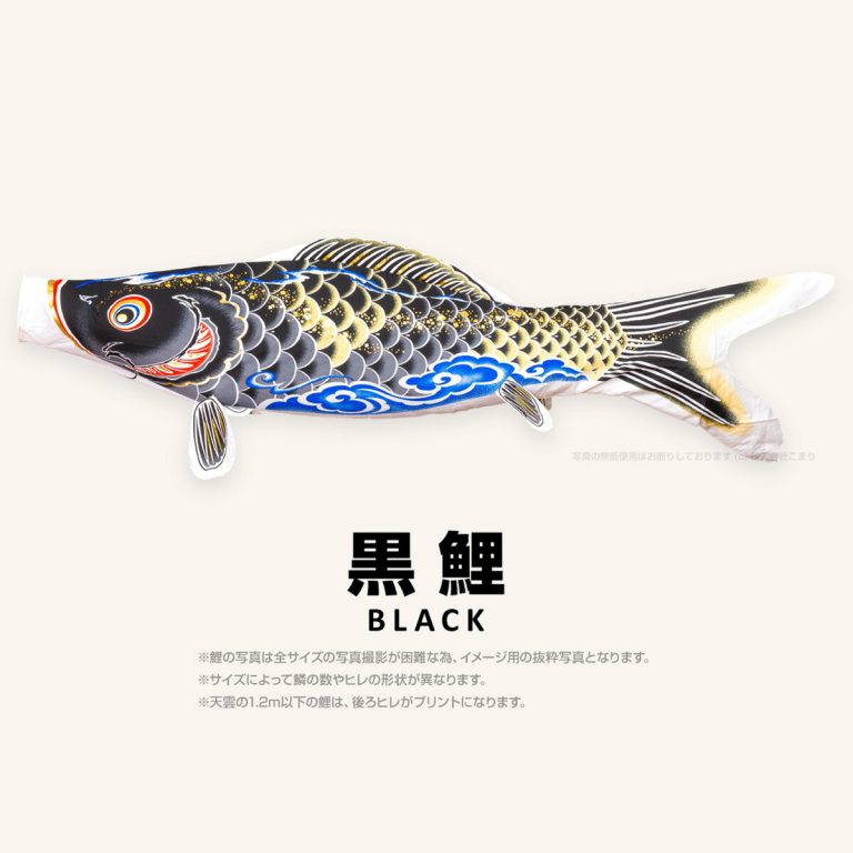 こいのぼり 単品 鯉のぼり 天雲【コントレイル】 CONTRAIL 天雲鯉 4m