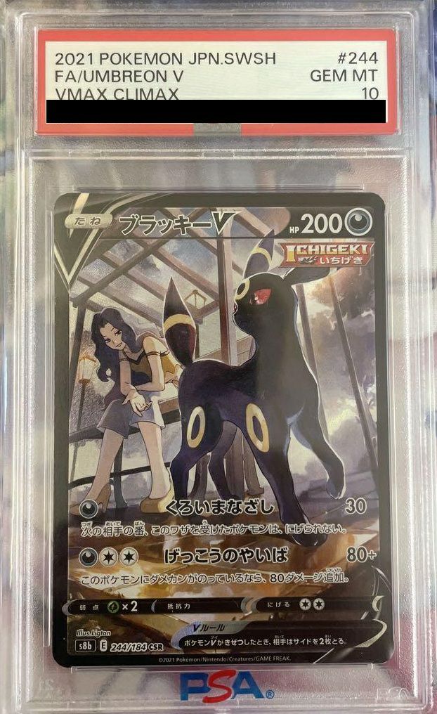 PSA10】ブラッキーV（244/184）［CSR］｜ポケモンカード｜PRICE BASE通販