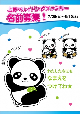 あなたもパンダの名づけ親になれる！？上野マルイパンダの赤ちゃんの