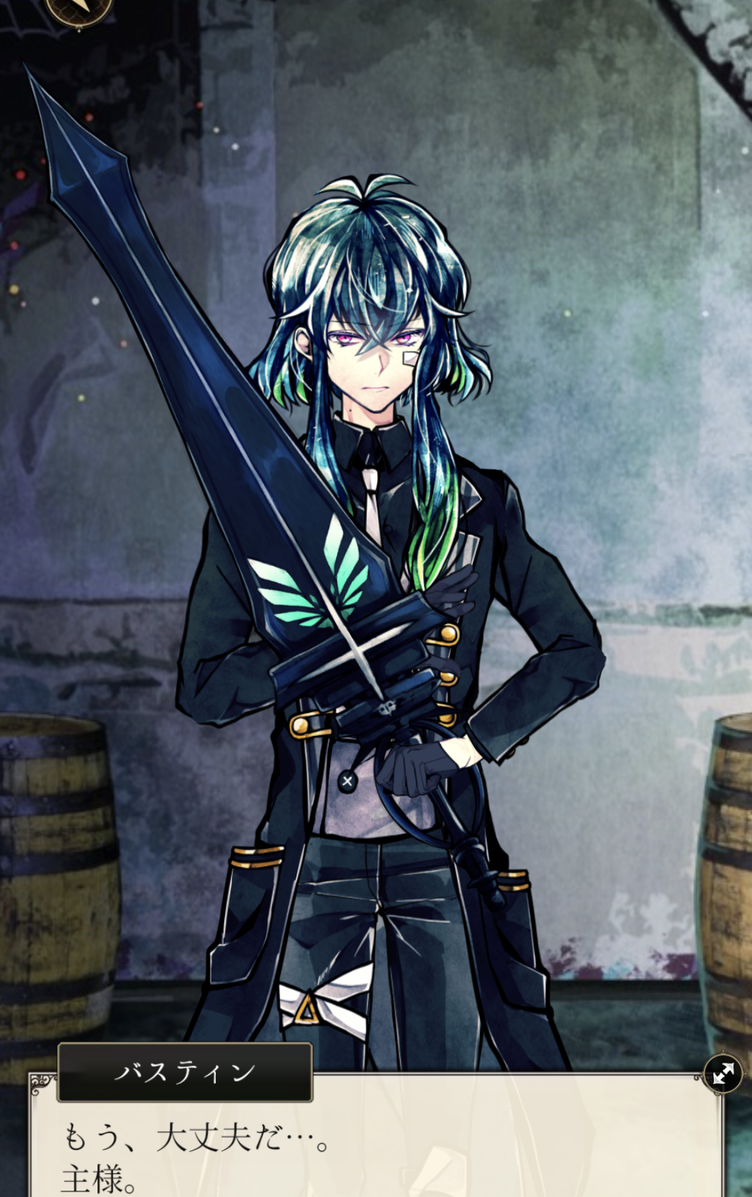 2月19日はバスティン・ケリーの誕生日です 2023~2025 - あくねこに