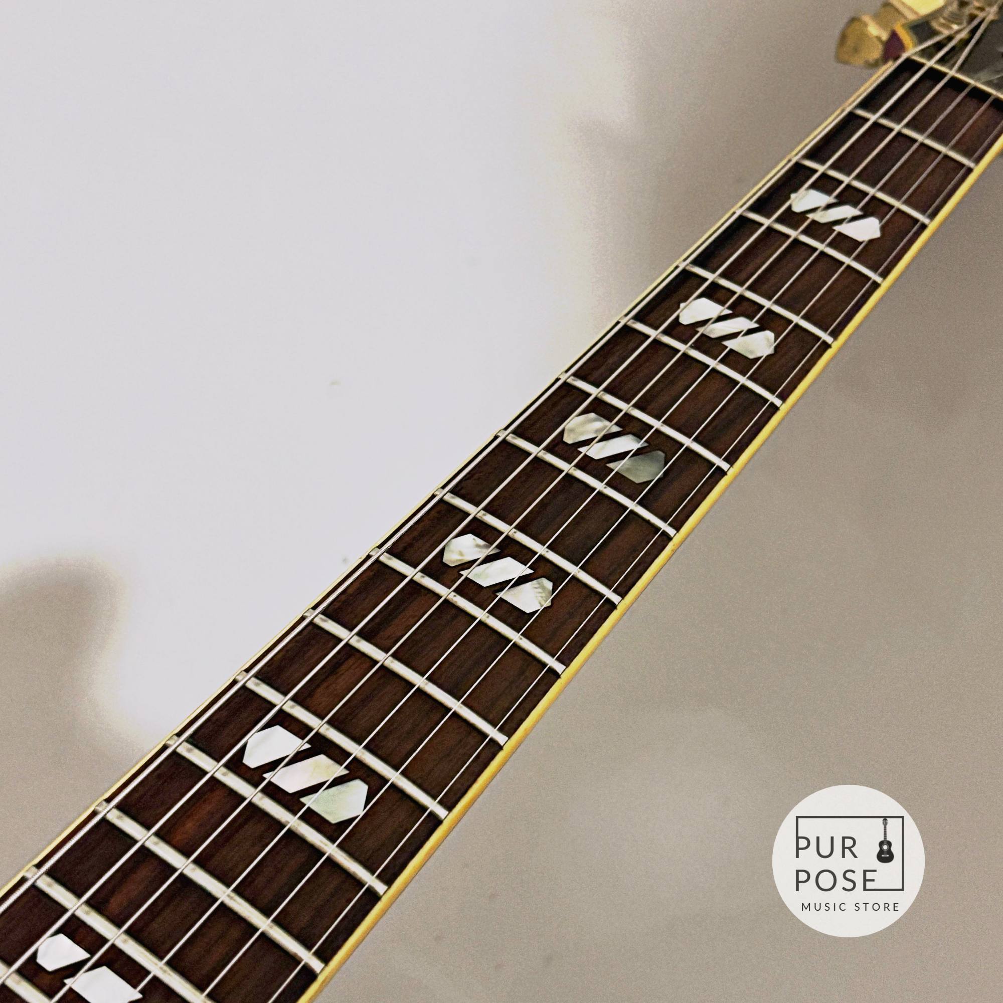 中古/動画あり】Greco SV-800 1979年製 セミアコースティックギター