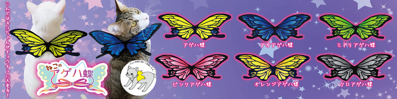 ねこのアゲハ蝶 | Qualia