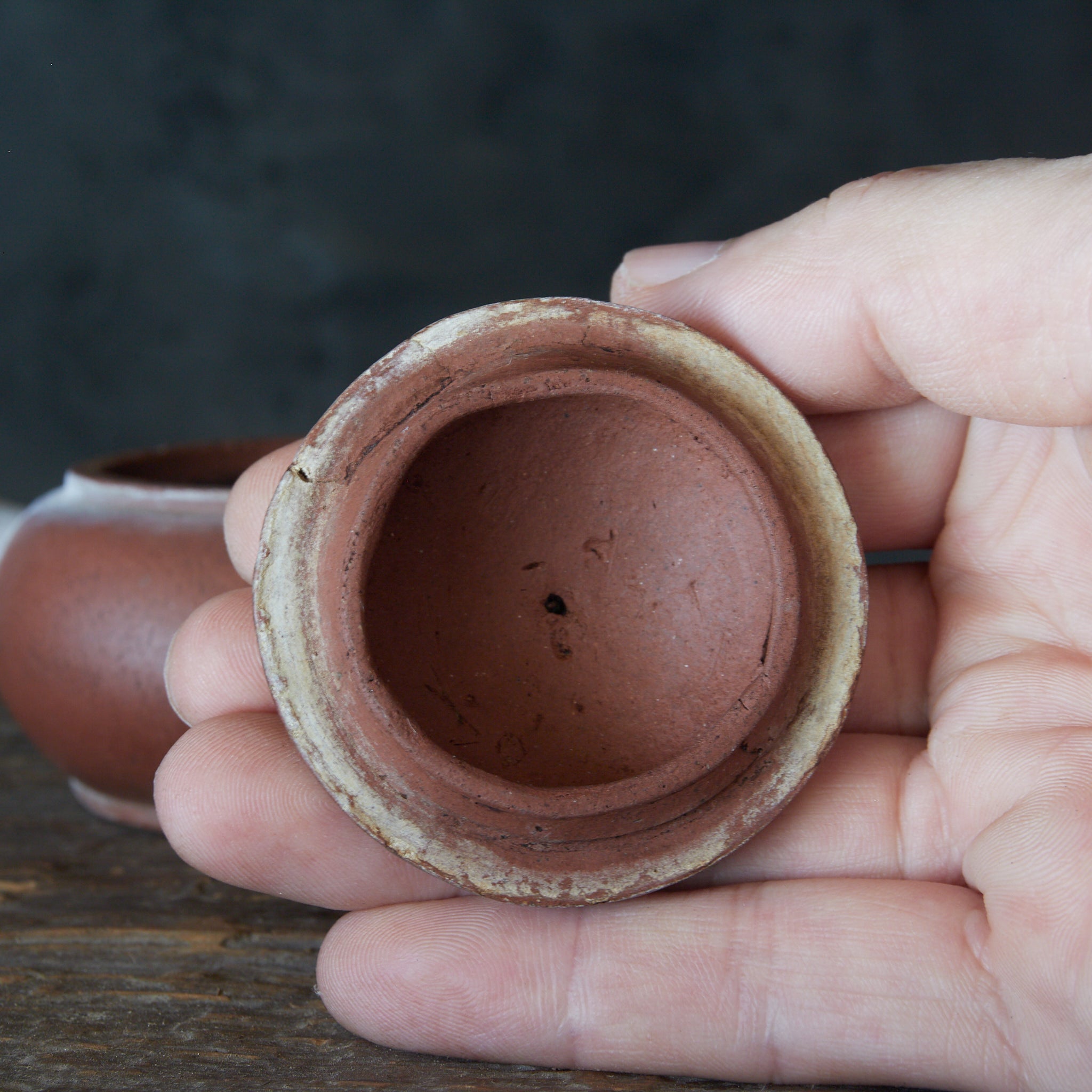 清代 朱泥水平壺（急須）（1616–1911CE） | 入蘆花（ロカニイル）