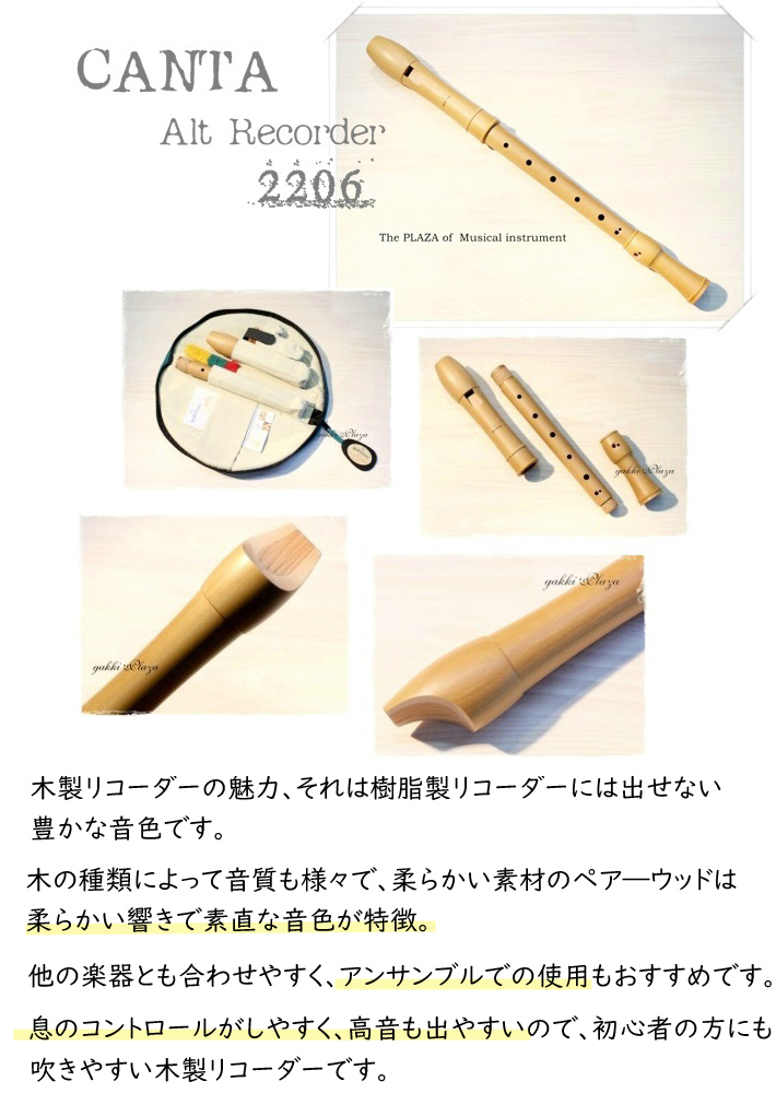 モーレンハウエル）木製アルトリコーダー入門セット｜テレマン楽器の