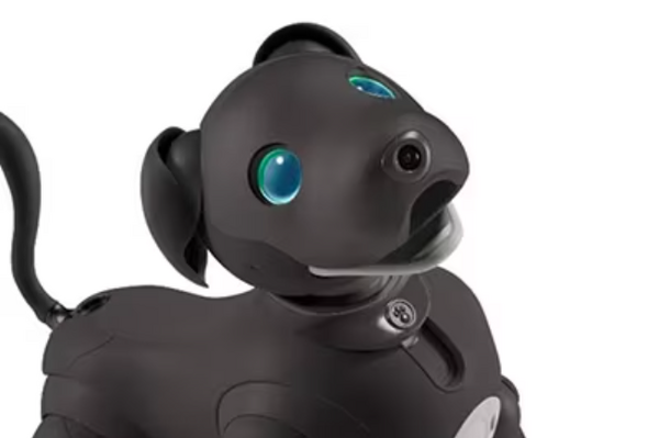 ソニー「aibo」の2023年カラーモデルは「エスプレッソ・ブラック