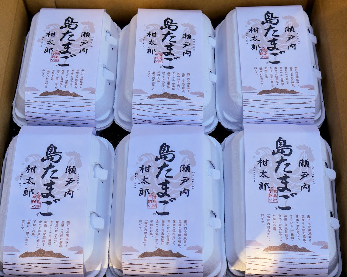≪3ヶ月連続 定期配送≫瀬戸内柑太郎「島たまご」6個入6パック×3ヶ月
