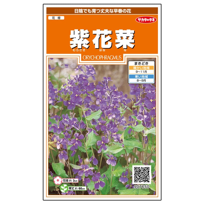 紫花菜｜種（タネ）,球根,苗,資材,ガーデニンググッズの通販はサカタの