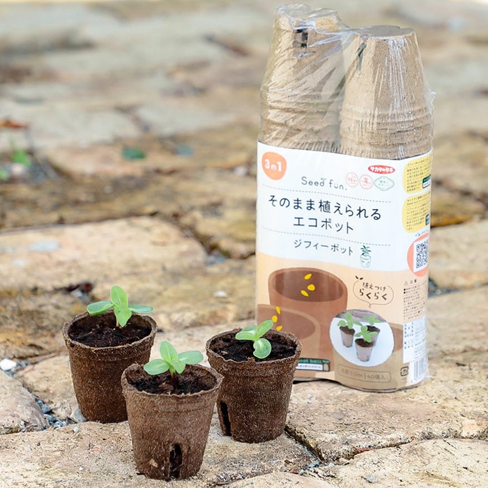 ジフィーポット（そのまま植えられるエコポット）｜種（タネ）,球根,苗